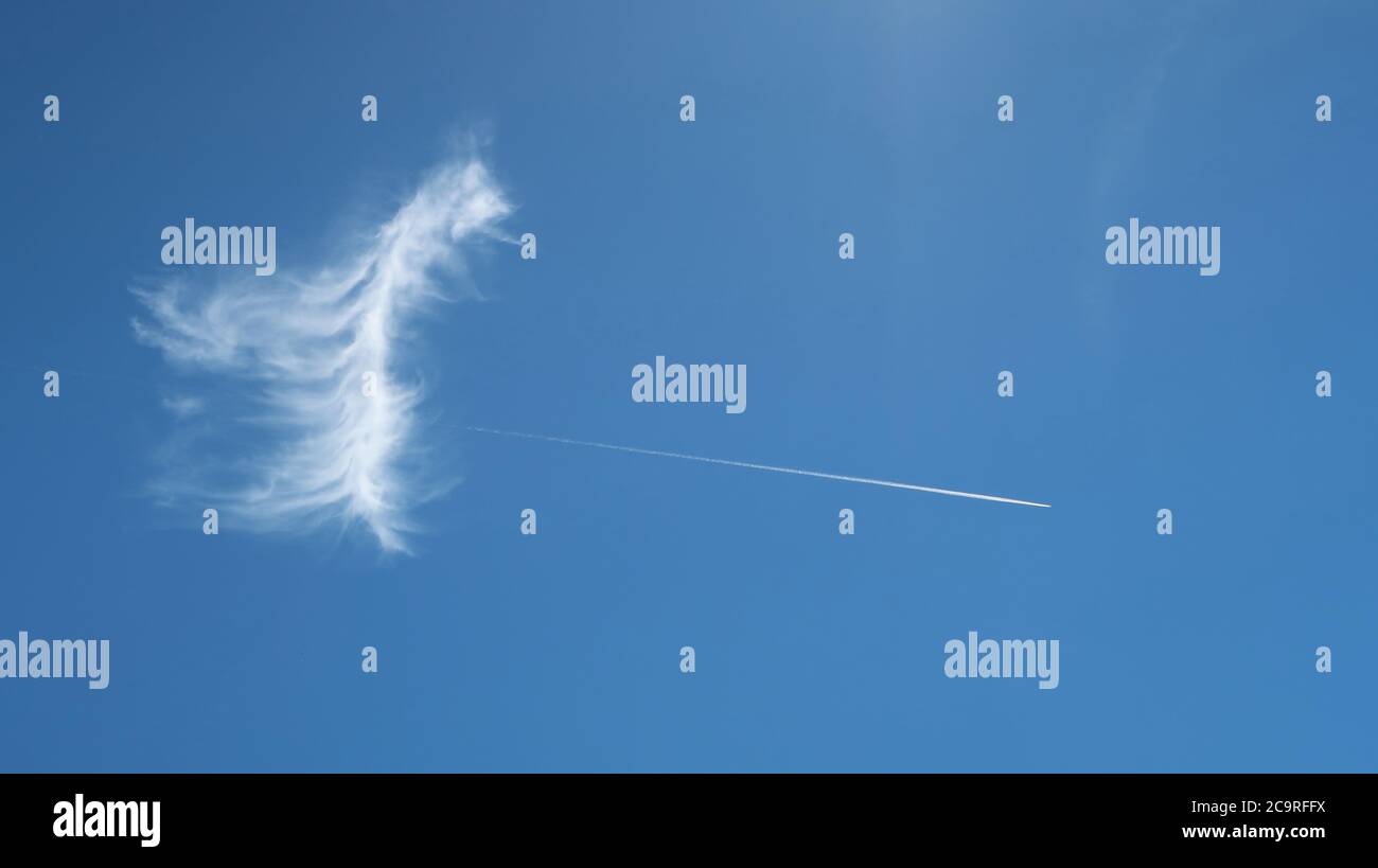 beautiful feathery cloud on blue sky with plane contrail starting from it Stock Photo
