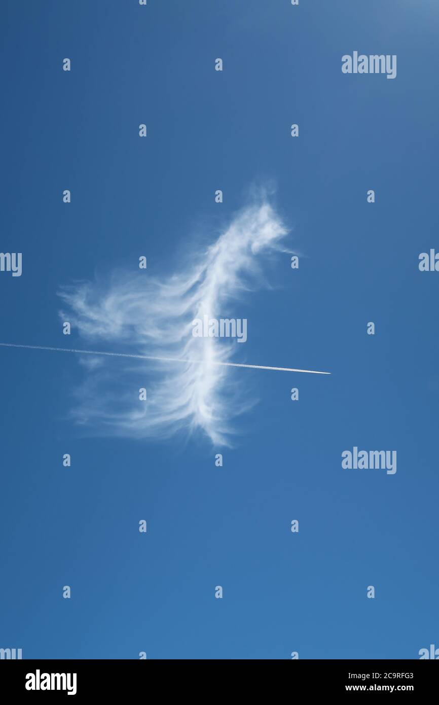 beautiful feathery cloud on blue sky with plane contrail piercing directly through Stock Photo