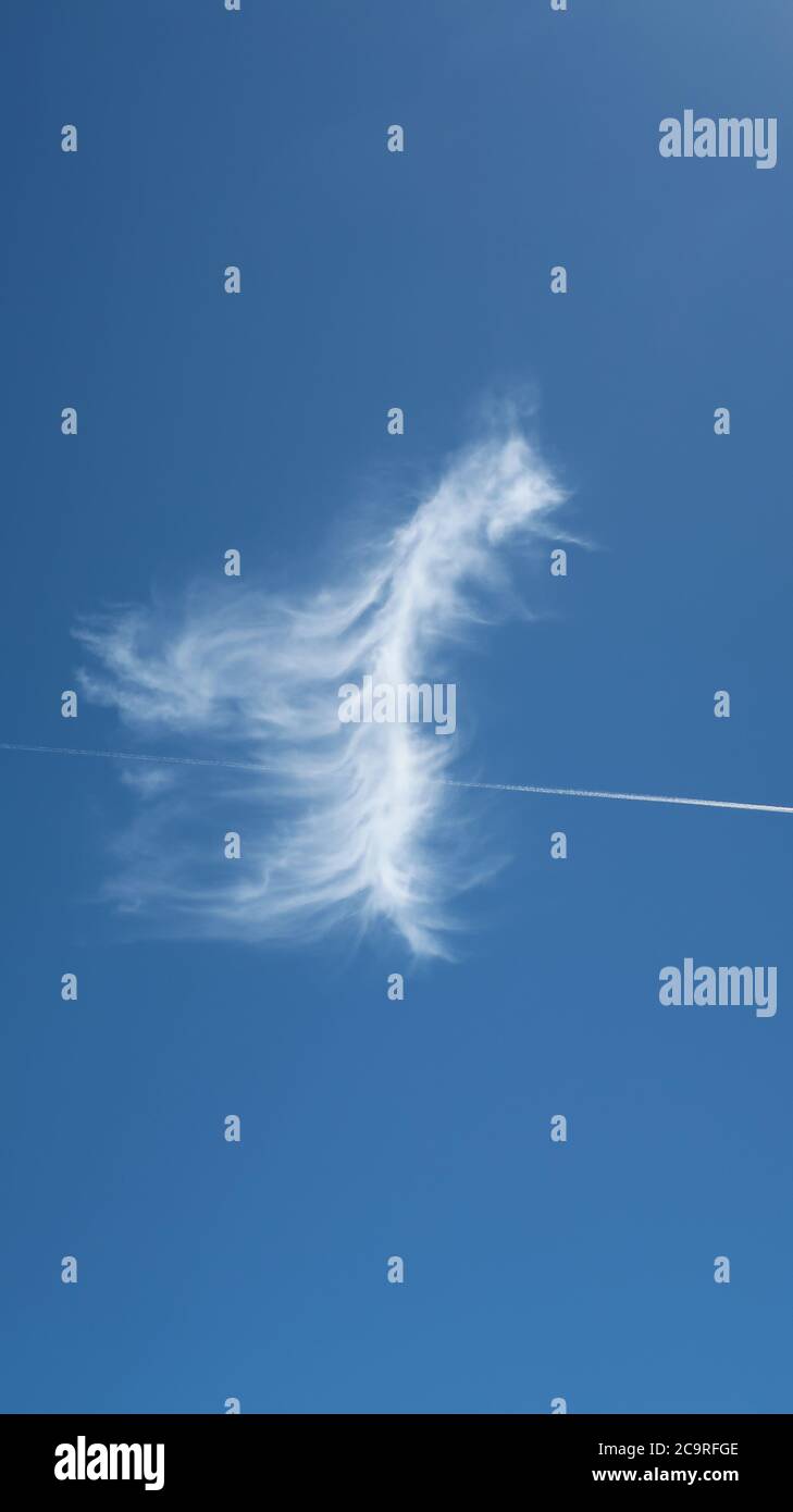 beautiful feathery cloud on blue sky looking like hanging on a clothesline - plane contrail Stock Photo