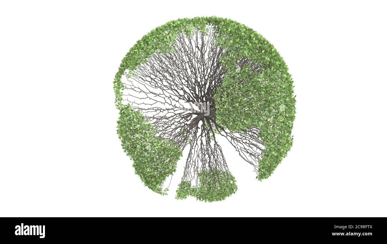 Growing tree, forming globe shape with leaves. Earth tree concept ...
