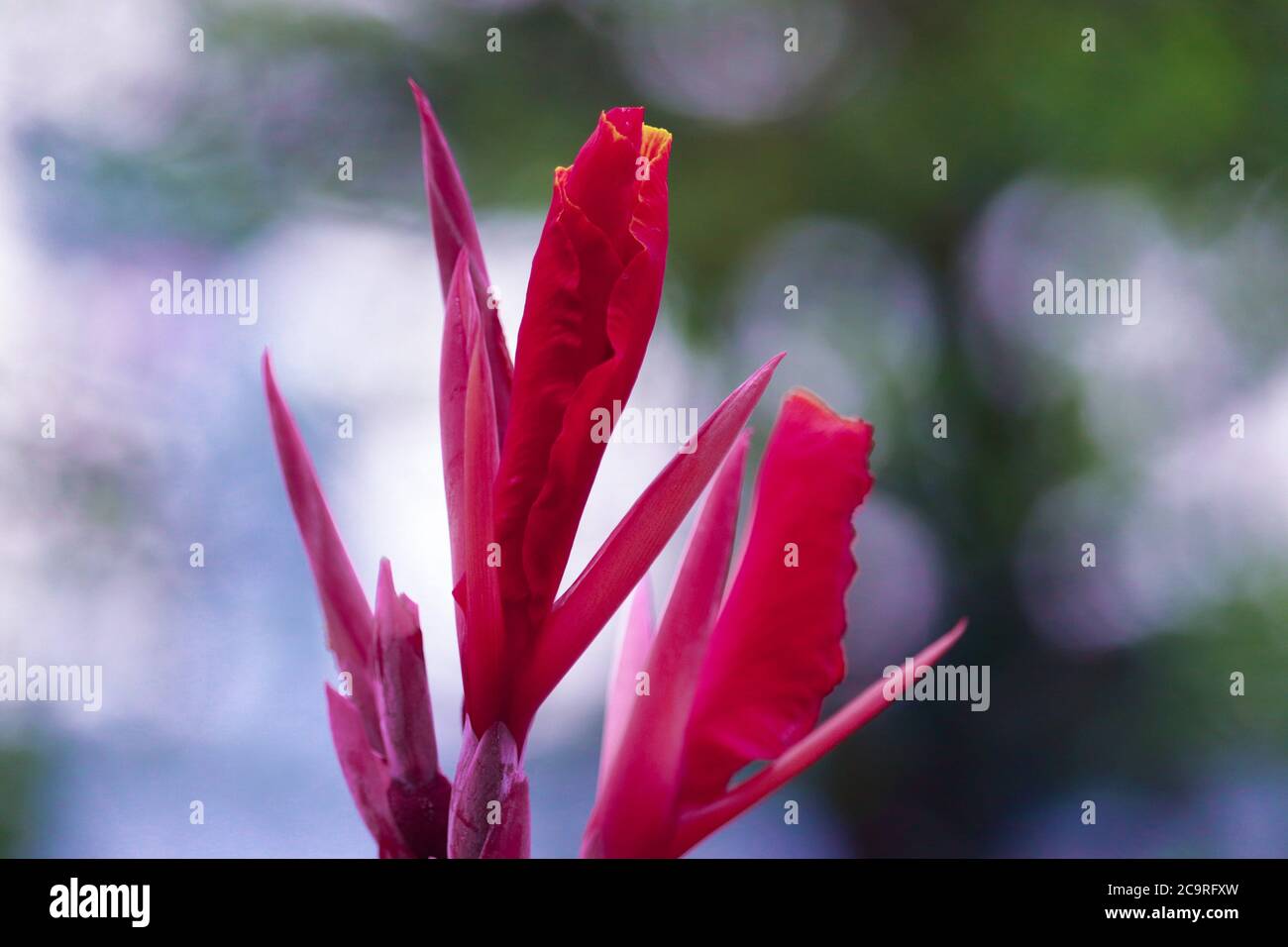 Nauter pic hi-res stock photography and images - Alamy