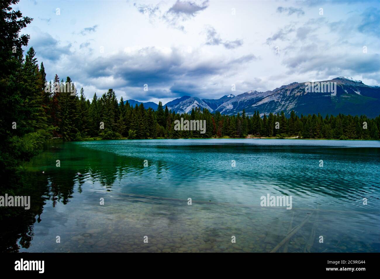 Calm forest lake pine hi-res stock photography and images - Alamy