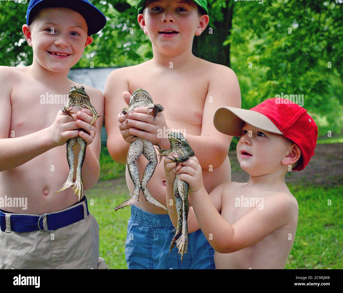 Three boys with baseball caps on holding bullfrogs Stock Photo