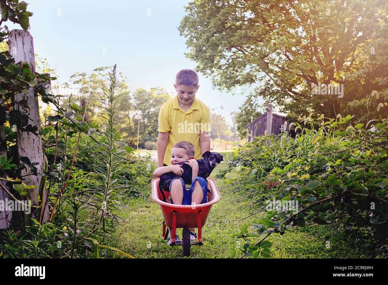 Boy giving younger child and dog ride in a wagon Stock Photo