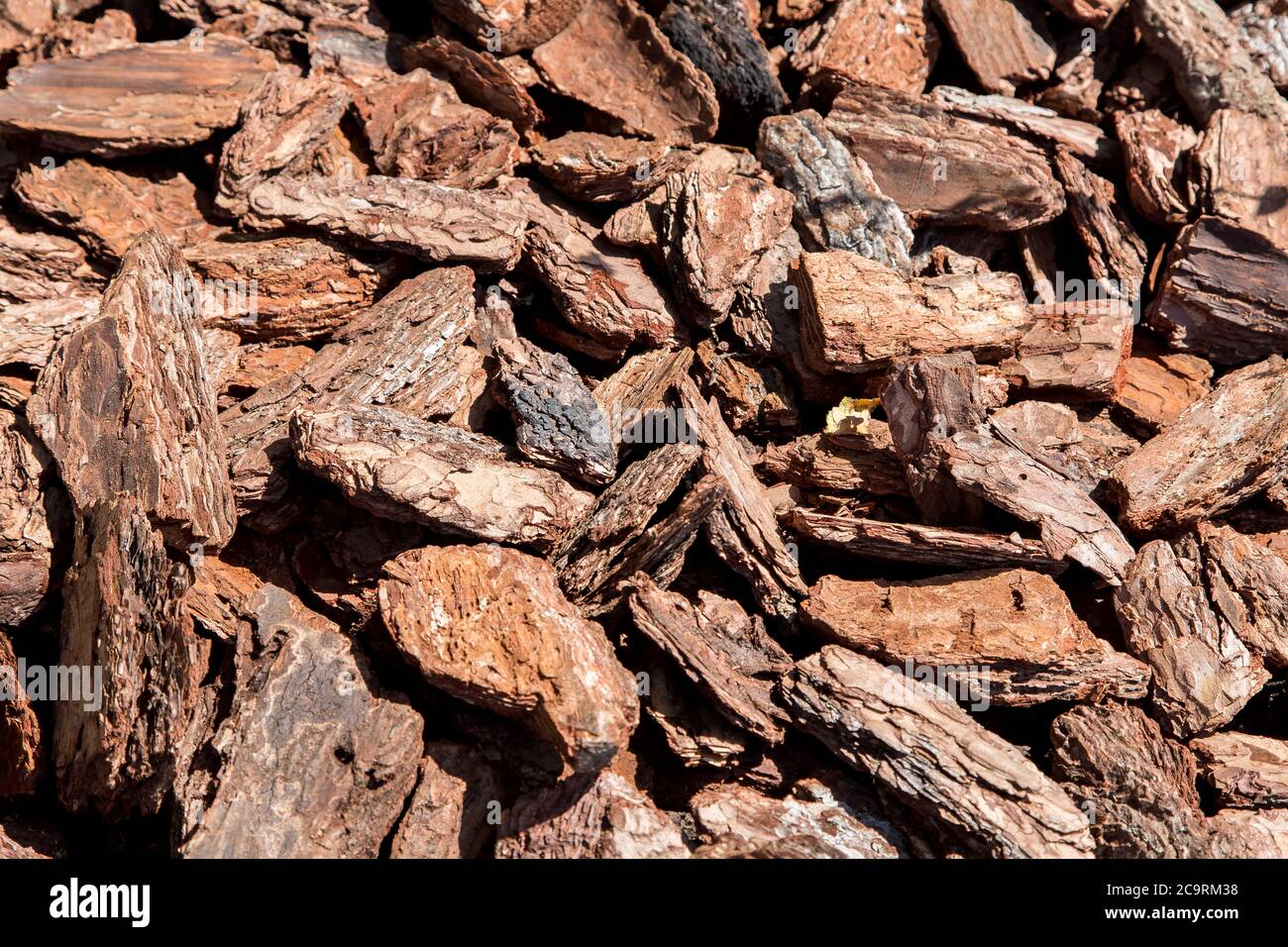 Mulching of the soil the crushed bark of trees, close up Stock Photo