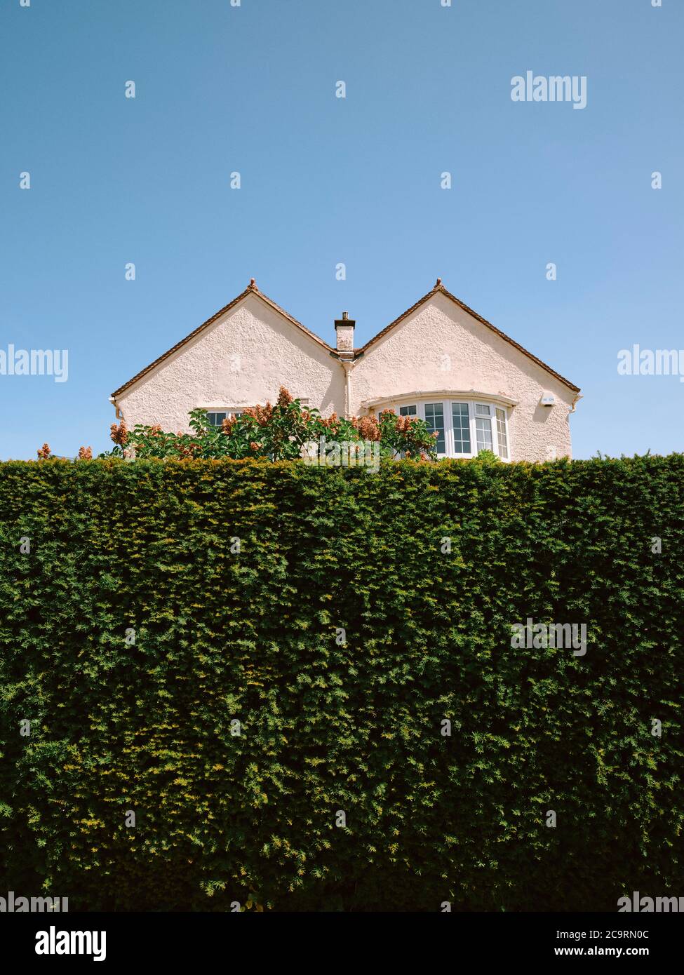 A typical M Shaped / Double Pitched / Double Gabled Roof suburban house property architecture half hidden behind a high green garden hedge & blue sky. Stock Photo