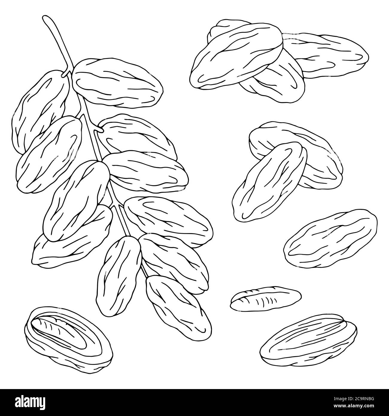 Date fruit graphic set black white isolated sketch illustration vector Stock Vector