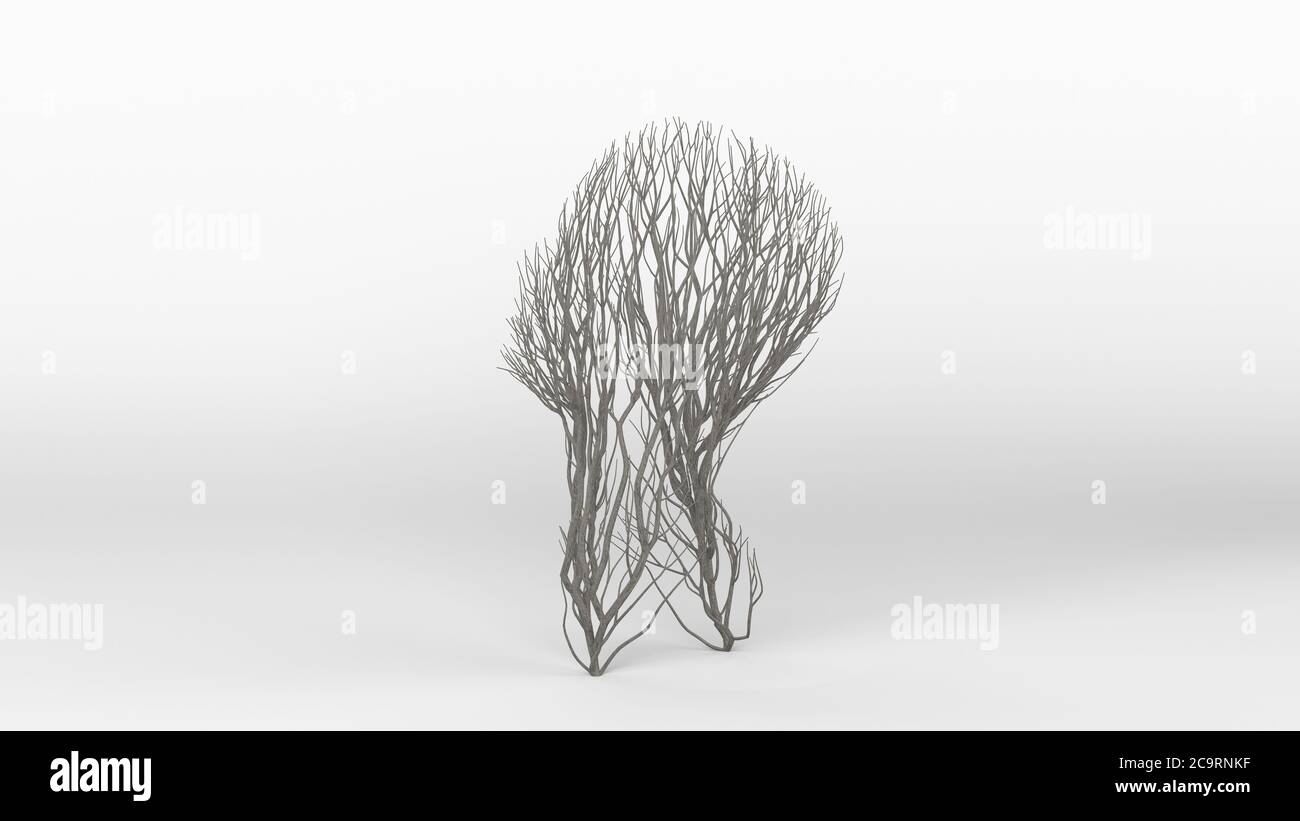 Growing Tree in a shape of Head. Eco Concept. Medical Concept. 3D ...