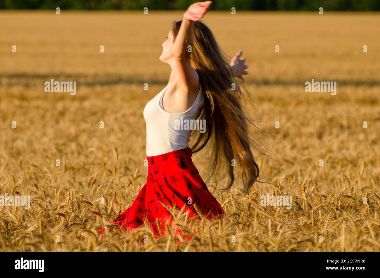 Girl with long hair whirling in a wheat field arms spread Stock Photo