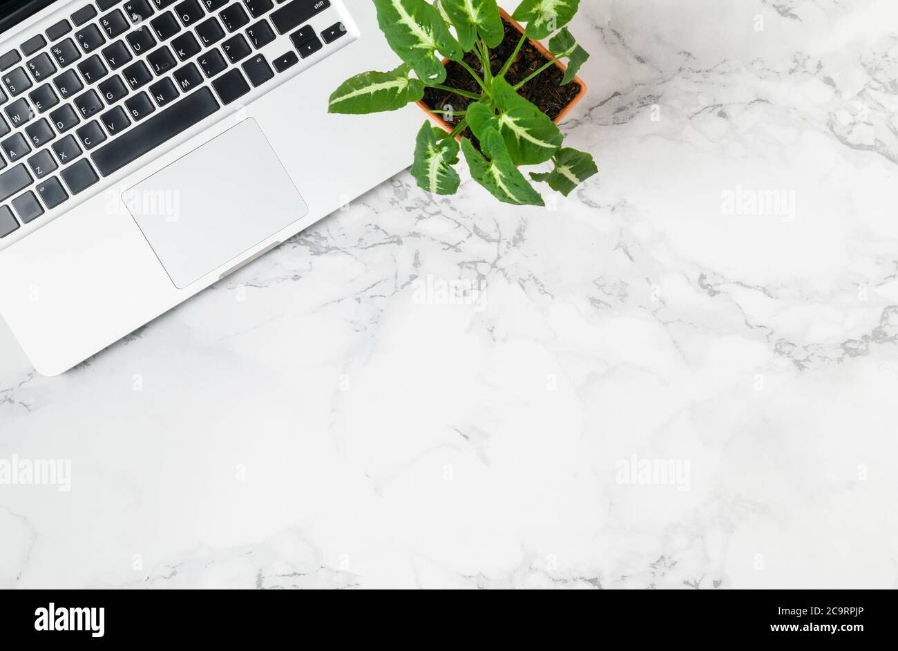 Flat lay, top view office table desk. Workspace with laptop and small plant  pot on marble background Stock Photo - Alamy, image size:1300x942