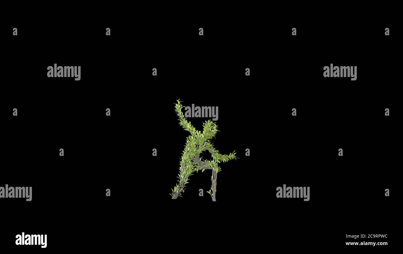 Human Tree Shape Growing Tree in a shape of a Human. Eco Concept. 3D rendering Stock ...