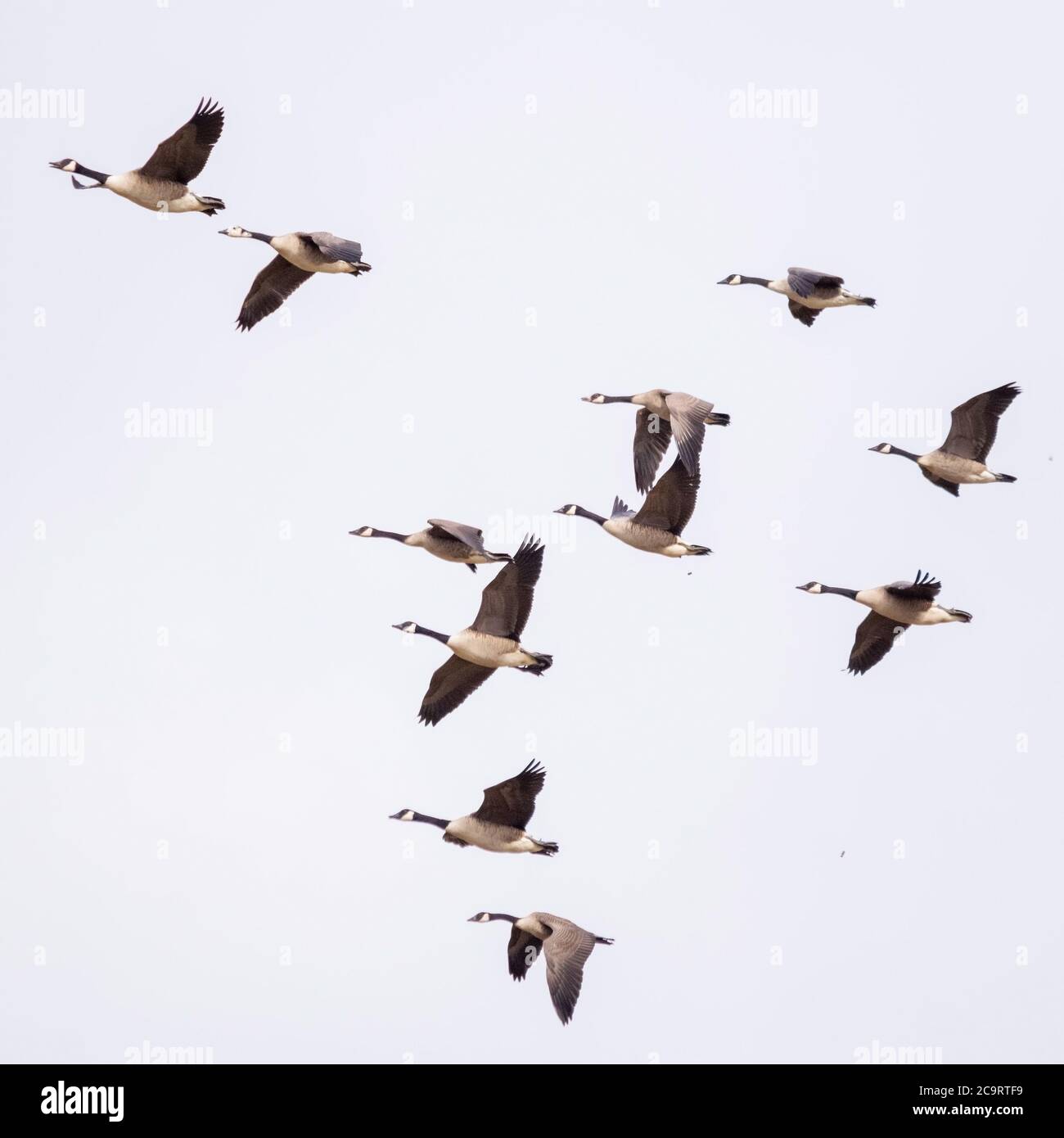 My Image 30