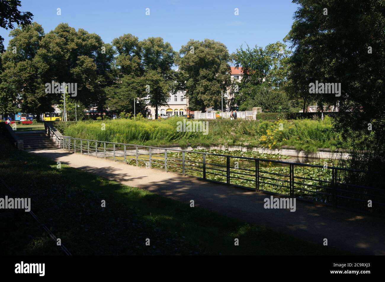 Seerosenteich im Wröhmännerpark in Berlin-Spandau Stock Photo