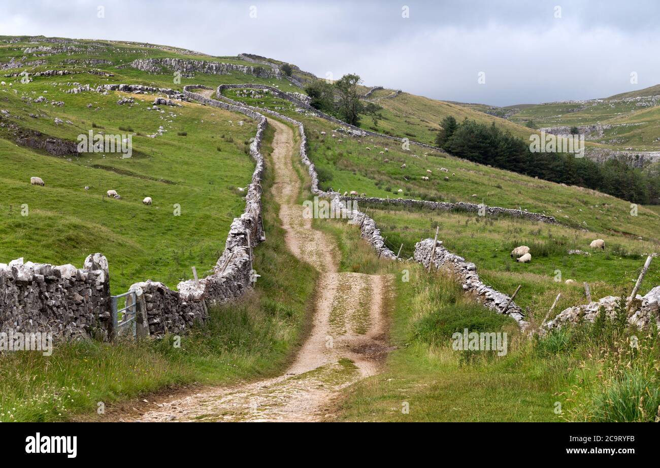 The Pennine Way National Trail at Horton Scar Lane, Horton-in-Ribblesdale, Yorkshire Dales National Park, (also part of 'A Pennine Journey' route). Stock Photo