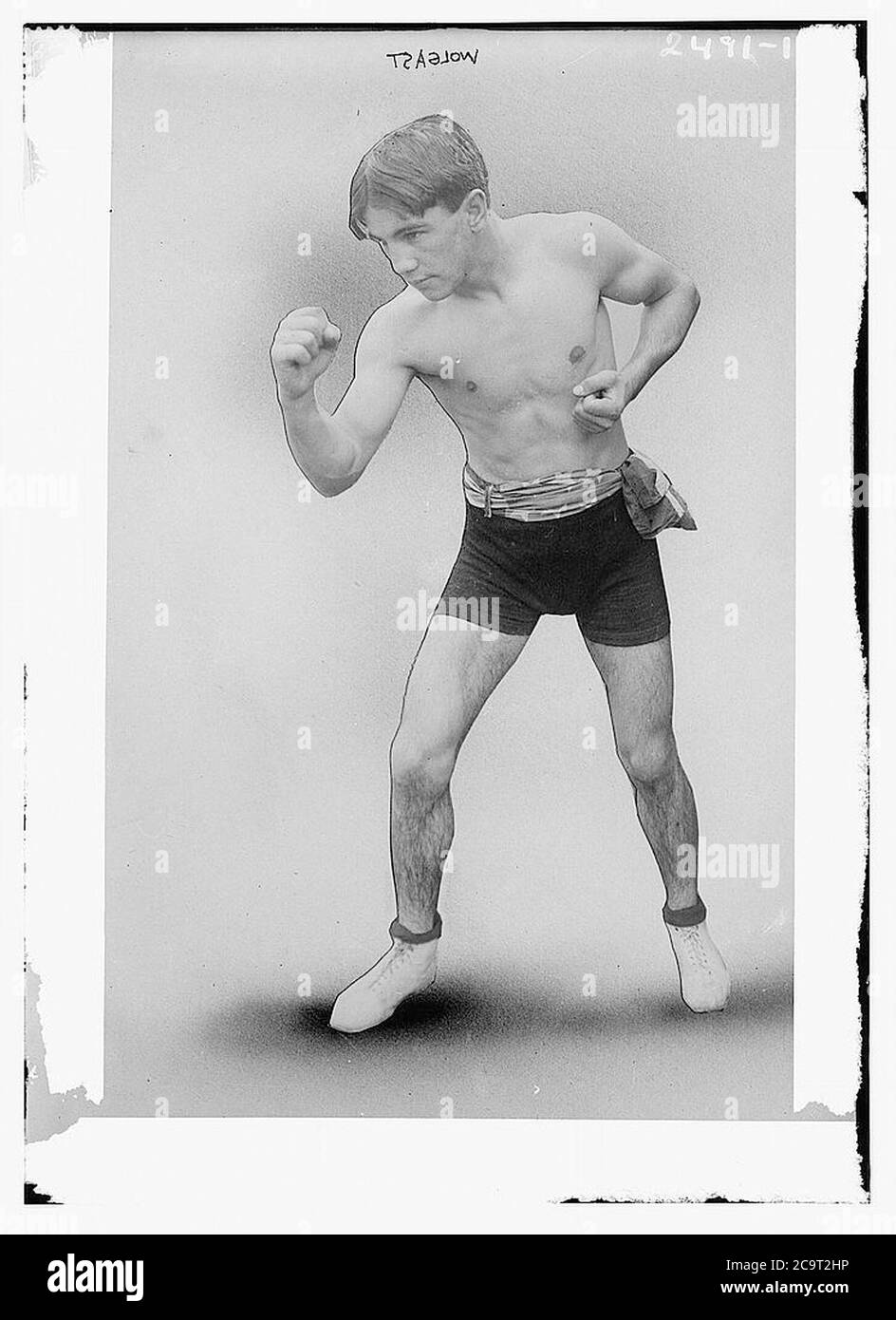 Boxer Portrait Vintage Hi Res Stock Photography And Images Alamy