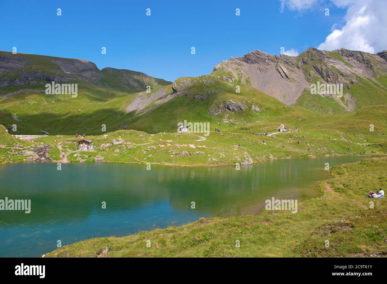Hiking in the swiss alps: High alpine route above Grindelwald (Jungfrau ...