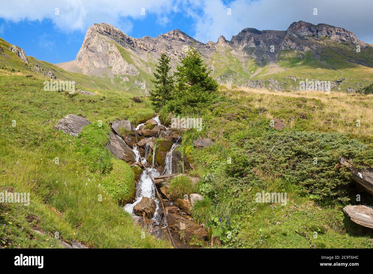 Hiking in the swiss alps: High alpine route above Grindelwald (Jungfrau ...