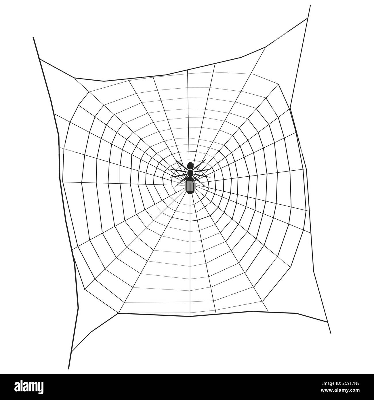 Silhouette of a spider on a large web. View from above. Vector ...