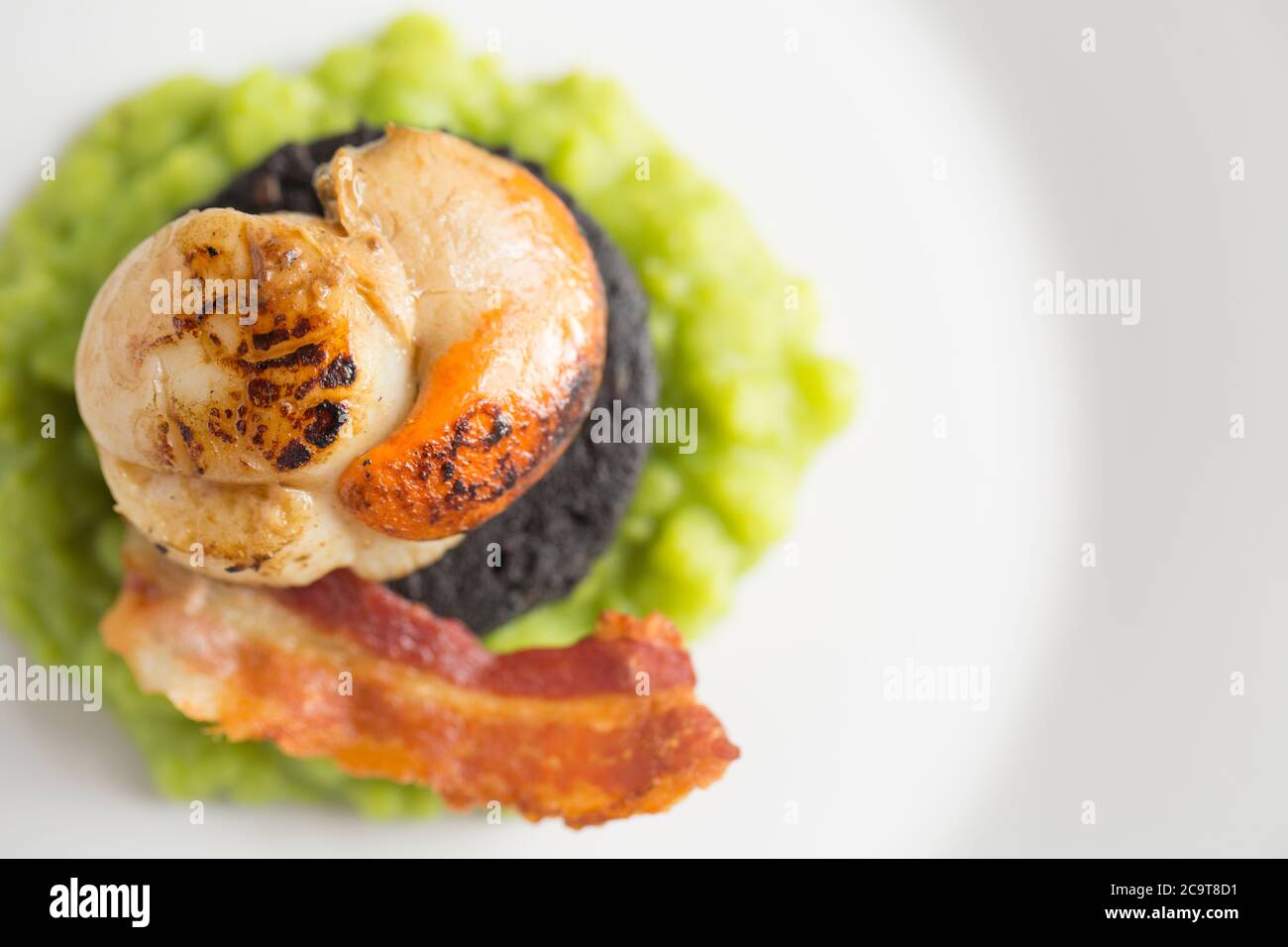 A single king scallop, Pectens maximus, with its orange roe, served