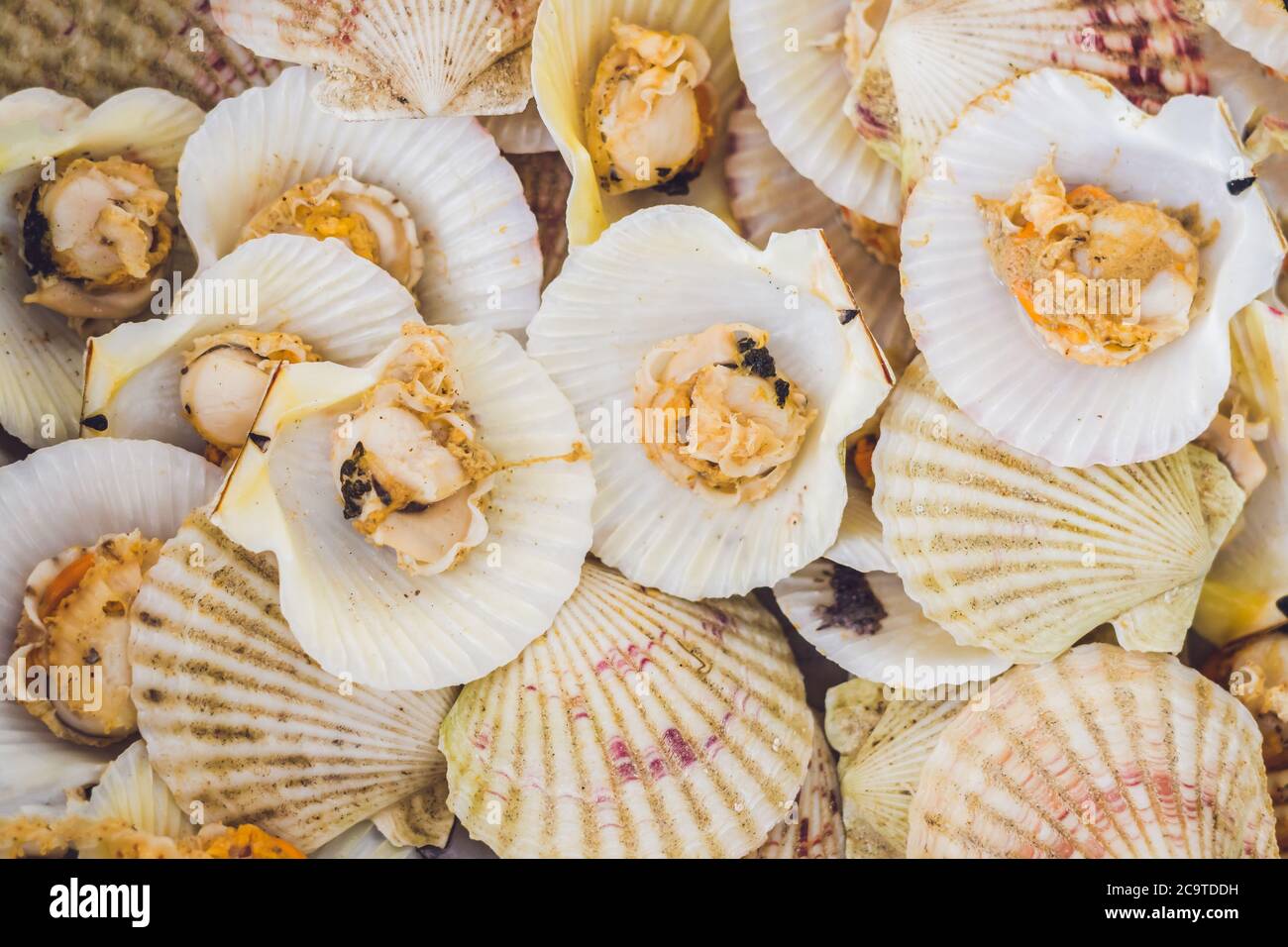 Seafood. Shellfish. Background of boiled scallops Stock Photo Alamy