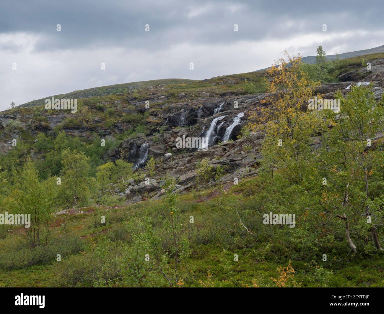 waterfall cascade, birch tree forest and mountains. Lapland nature landscape in summer, moody sky Stock Photo