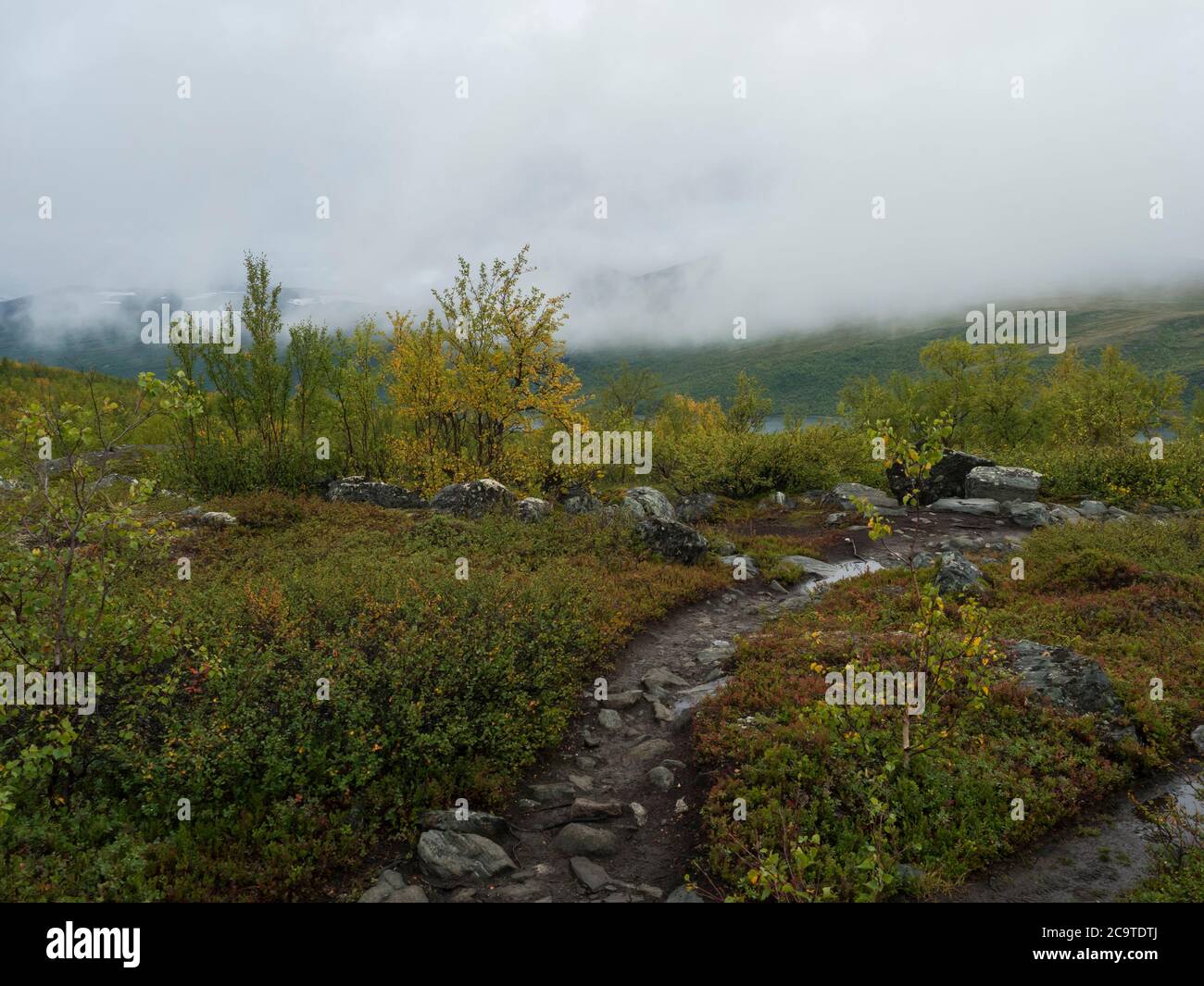 Lapland nature at Kungsleden hiking trail with green mountains, Teusajaure lake, rock boulders, autumn colored bushes, birch tree and heath in mist an Stock Photo