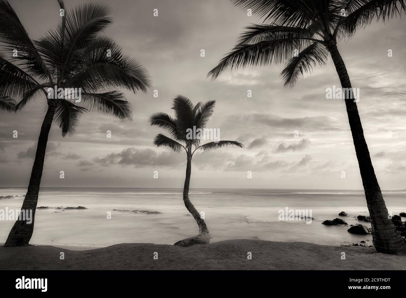 Palm trees and surise clouds. Paia, Maui Hawaii Stock Photo Alamy