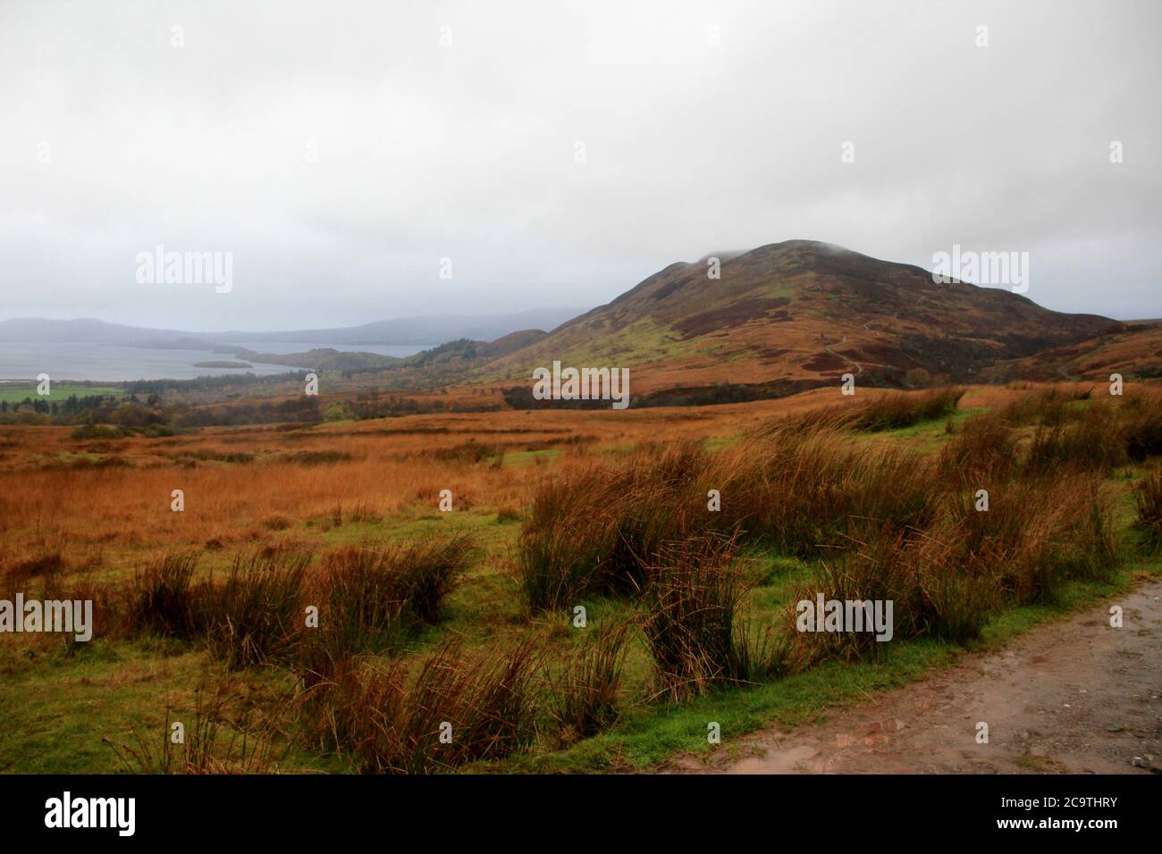Entlang des West Highland Ways im November in Schottland. Stock Photo
