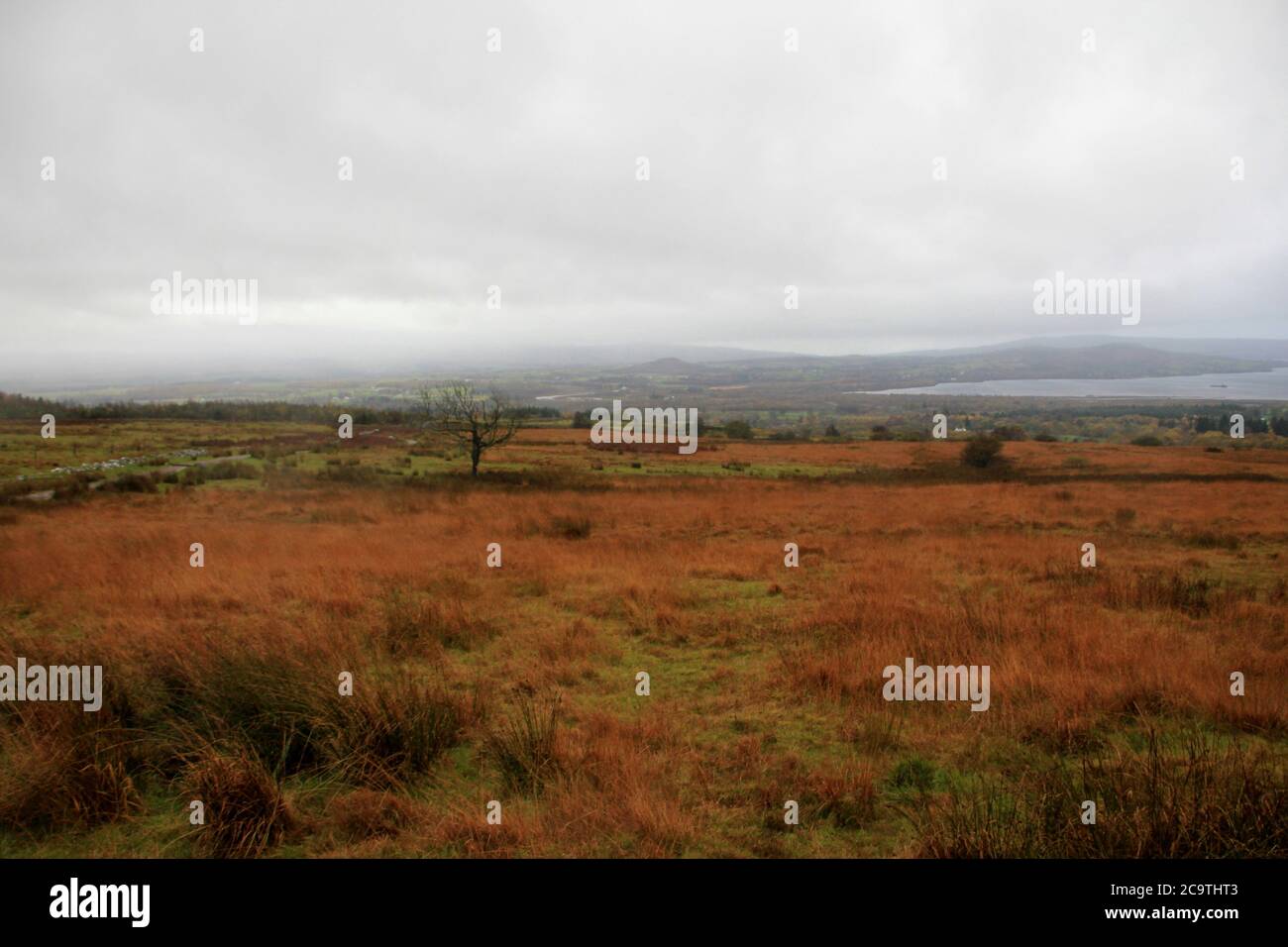 Entlang des West Highland Ways im November in Schottland. Stock Photo