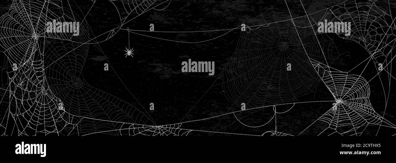 Spider webs on black wall halloween banner with spider on dark