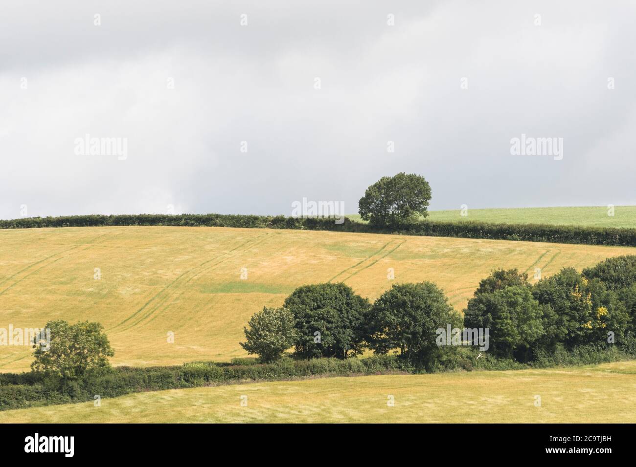 Somewhat threatening looking dark cloud formation settled over a  distant hillside field / farmland in UK. For British farming, gathering storm clouds Stock Photo