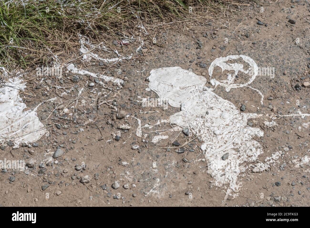 Abstract shapes of a thick white paint on rural road. Possibly road marking mastic. Old paint texture, abstract shapes, paint spillage. Oops! Stock Photo