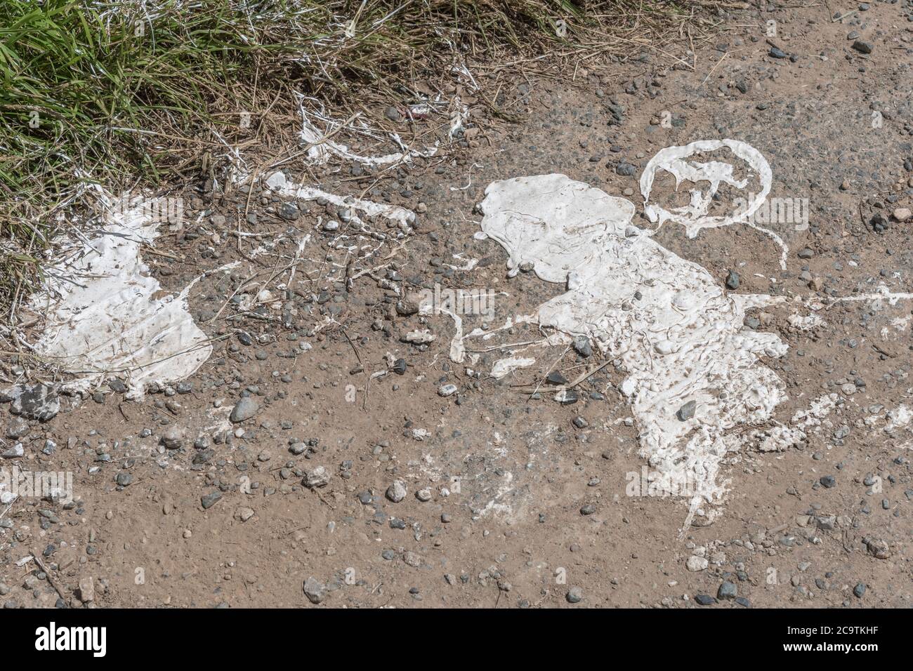 Abstract shapes of a thick white paint on rural road. Possibly road marking mastic. Old paint texture, abstract shapes, paint spillage. Oops! Stock Photo