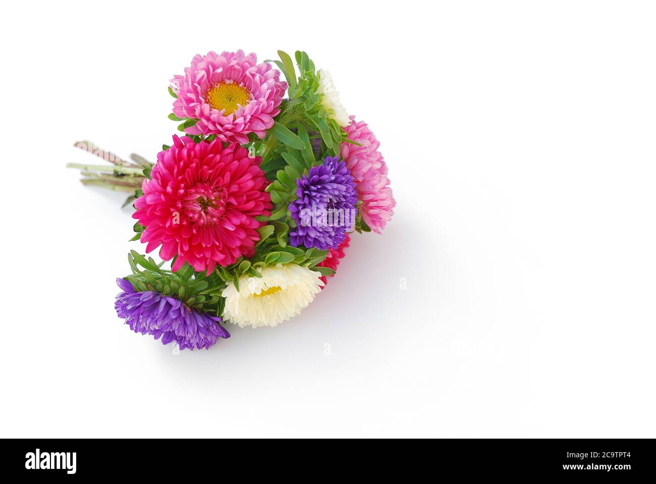 isolated flower lies on white background Stock Photo