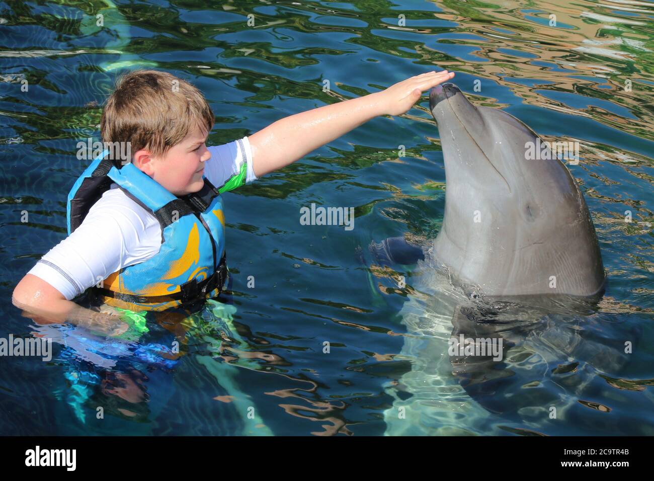 WHITE BOY AGED 10 SWIMMING WITH A DOLPHIN IN MEXICO Stock Photo