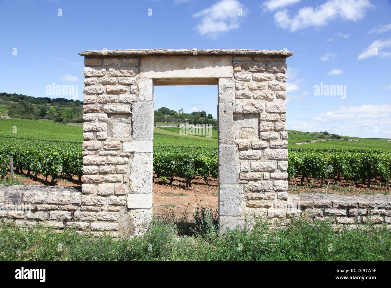 Landscape with Chassagne Montrachet vineyards in Burgundy, France Stock Photo
