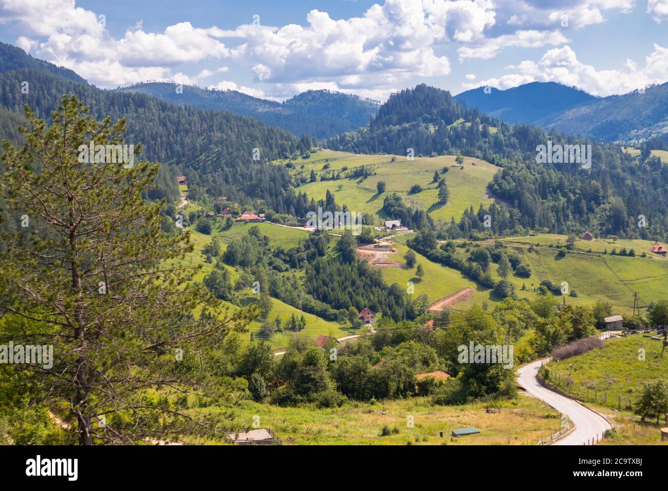 Tara national park hi-res stock photography and images - Alamy