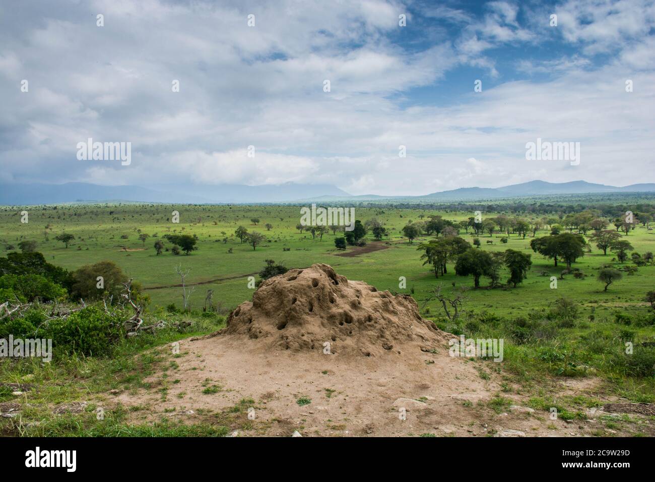 Tsavo west national park in Kenya. View on beautiful green taita hills