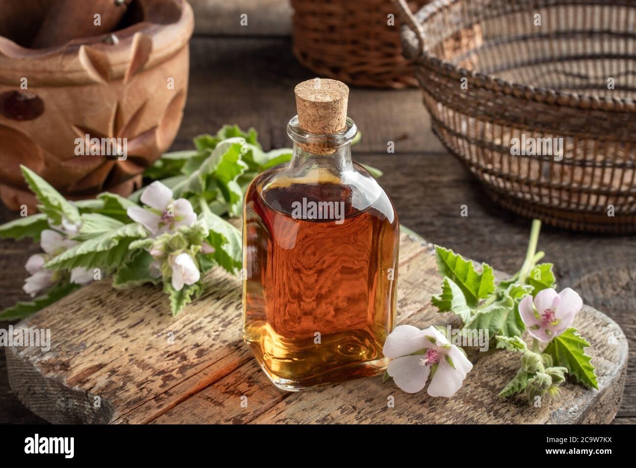 Marshmallow root hires stock photography and images Alamy