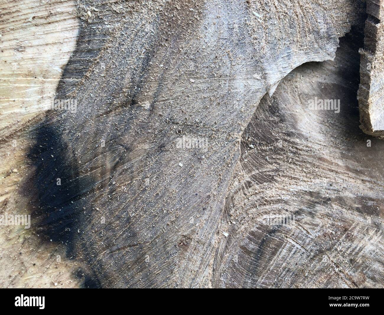 wood texture. background old panels Stock Photo
