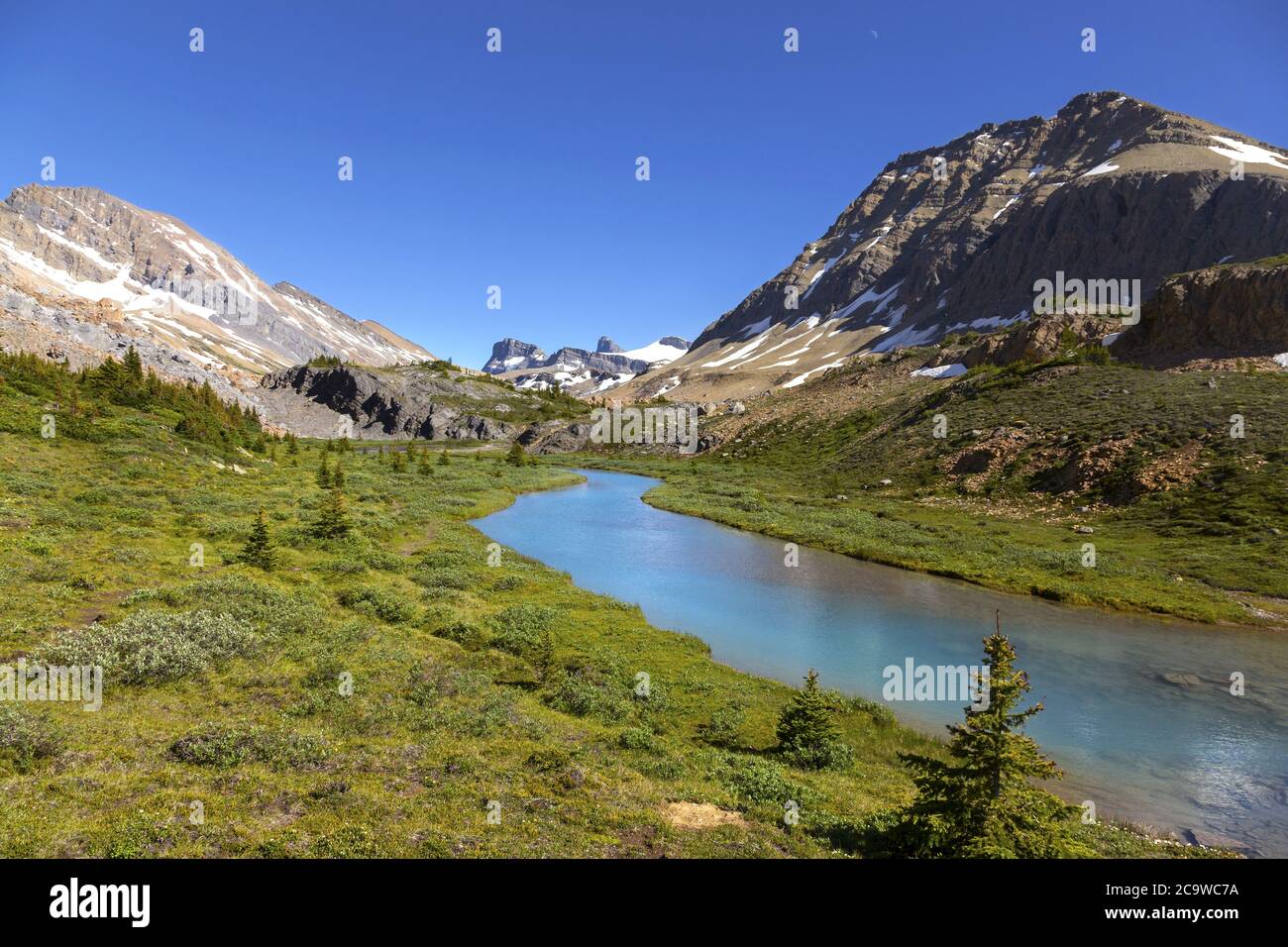 Calm Blue Brazeau River Water on a Green Alpine Meadow and Distant Canadian Rocky Mountains Landscape in Jasper National Park Wilderness, Alberta Stock Photo