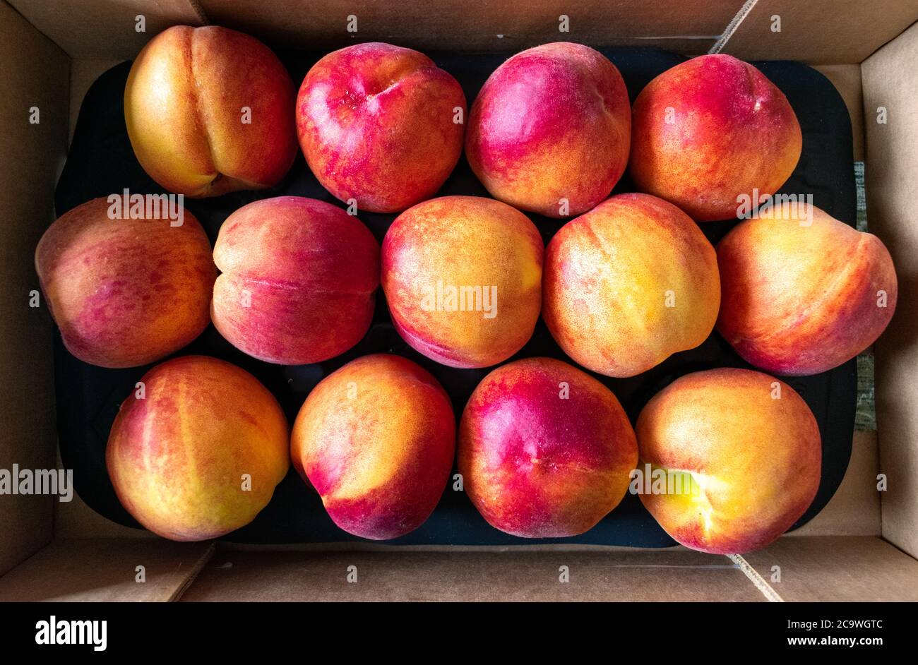 Top view of fresh peaches in a cardboard box just harvested Stock Photo