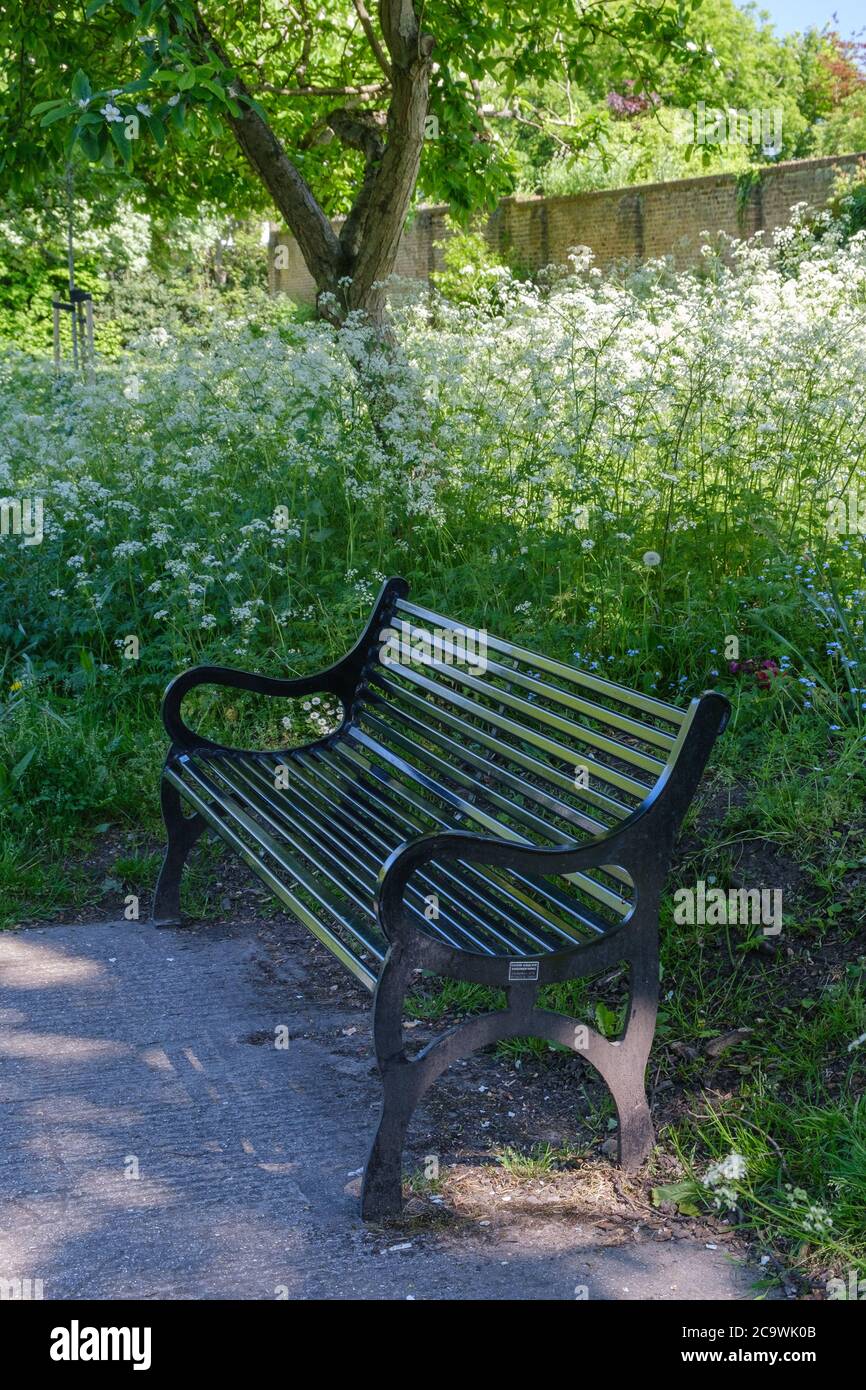 Empty park bench with wild flowers & trees behind it & Grade II listed