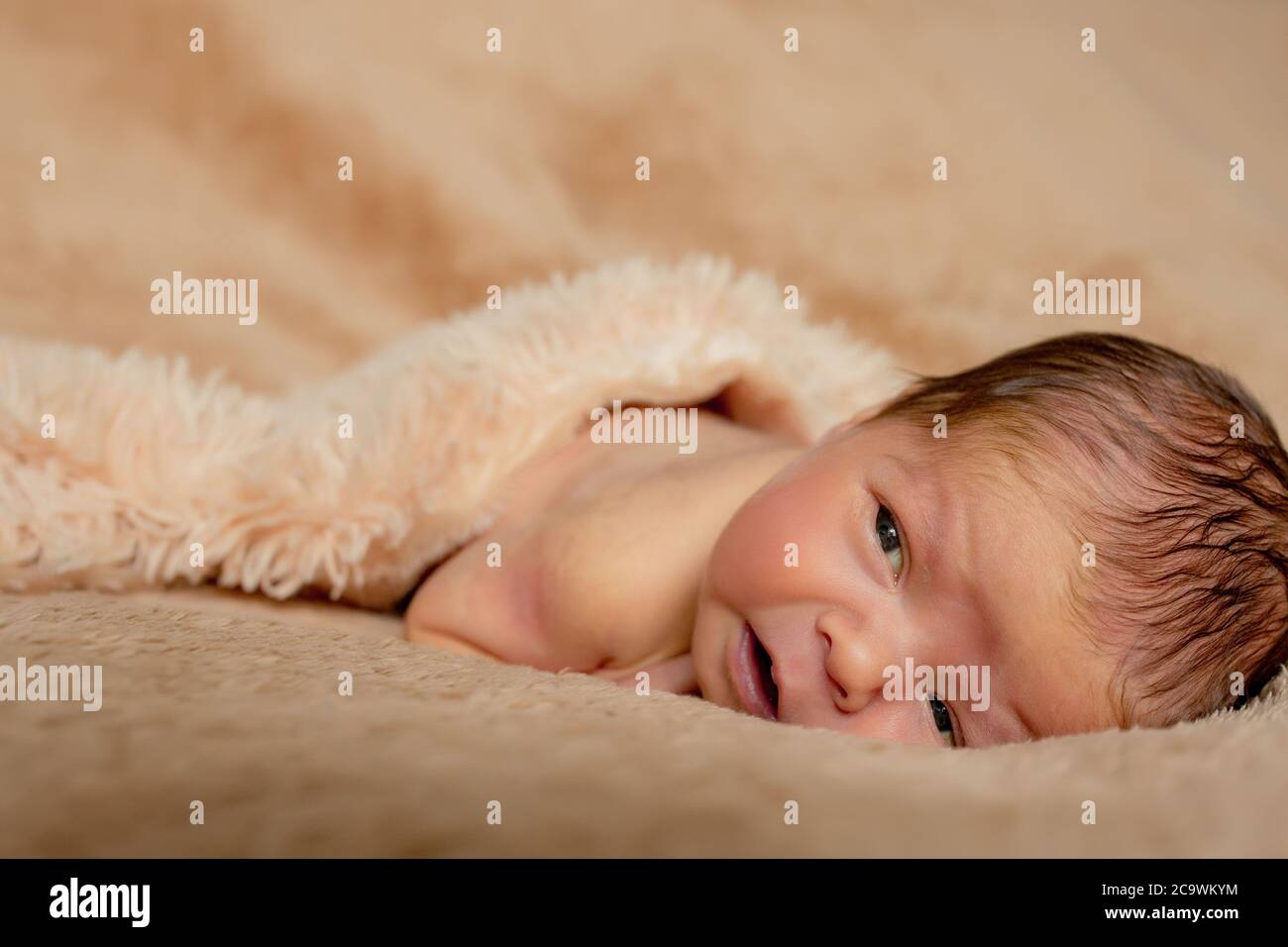 Propped on elbows hires stock photography and images Alamy