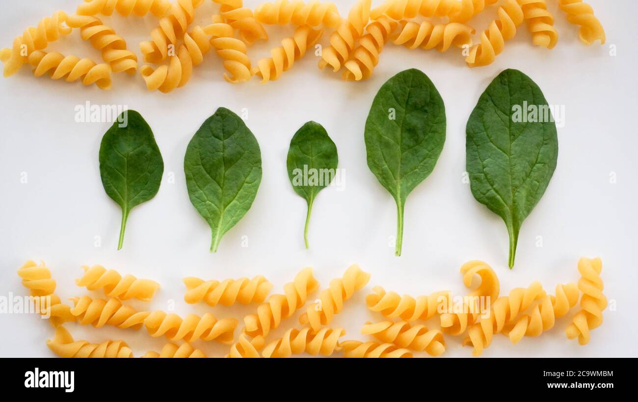 https://c8.alamy.com/comp/2C9WMBM/green-spinach-leaves-in-a-row-looking-like-forest-uncooked-twisted-fusilli-pasta-on-top-and-in-bottom-like-sky-and-ground-2C9WMBM.jpg