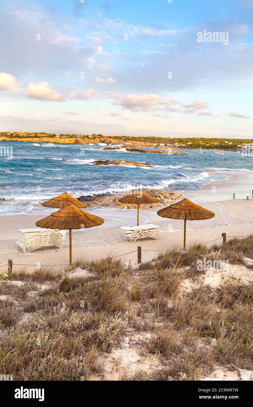 Straw parasols at evening time on Platja des Pujols beach in Es Pujols, Formentera, Spain Stock Photo