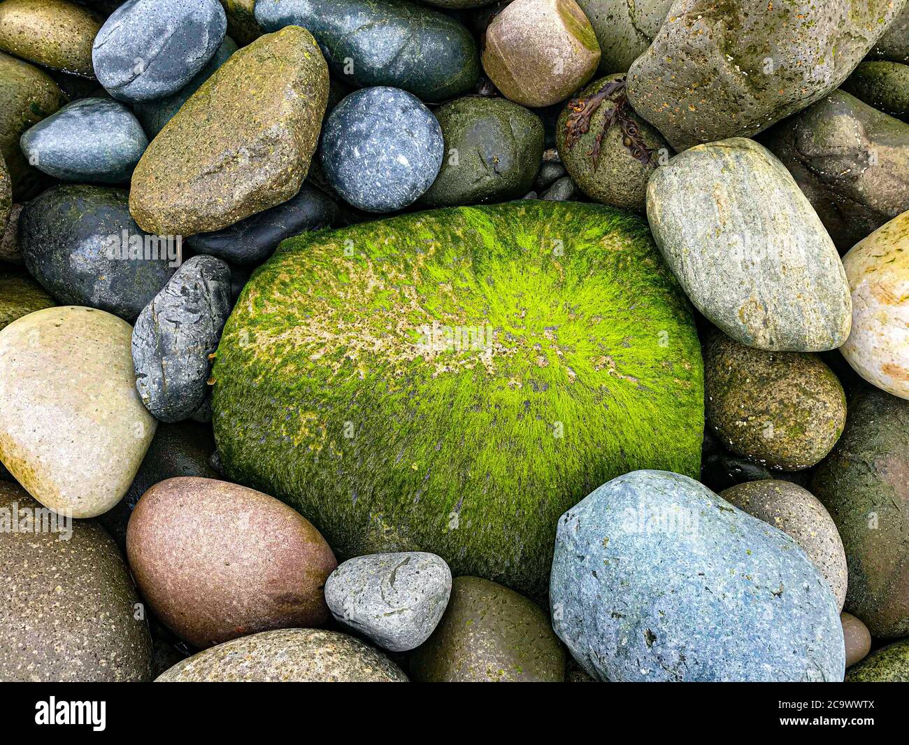 Colored Stones on Beach in Scotland Stock Photo