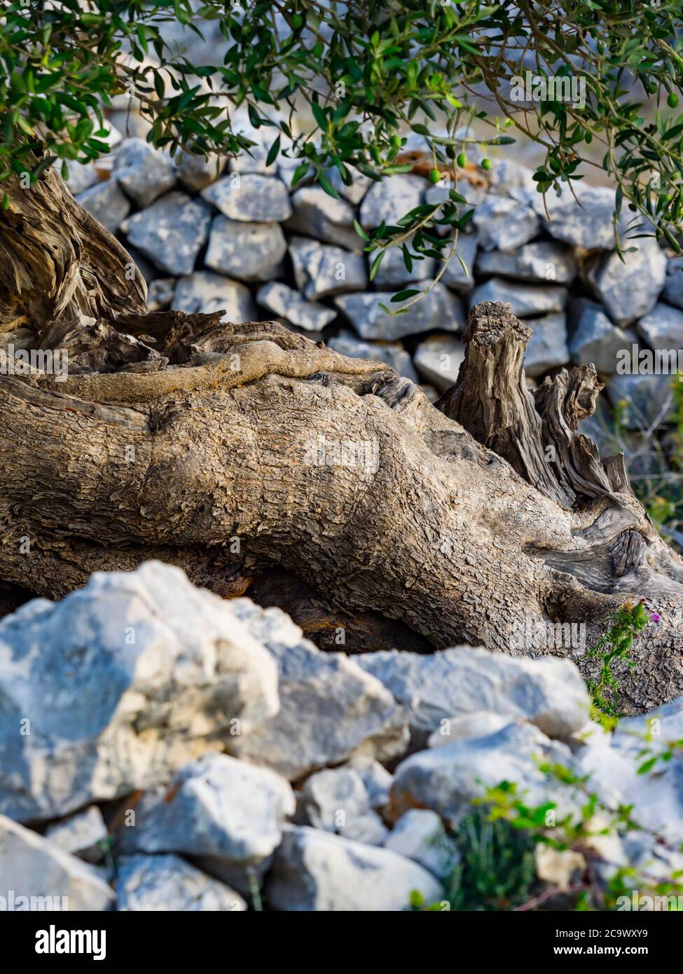 googleaware index keywords Stock Photo Alamy