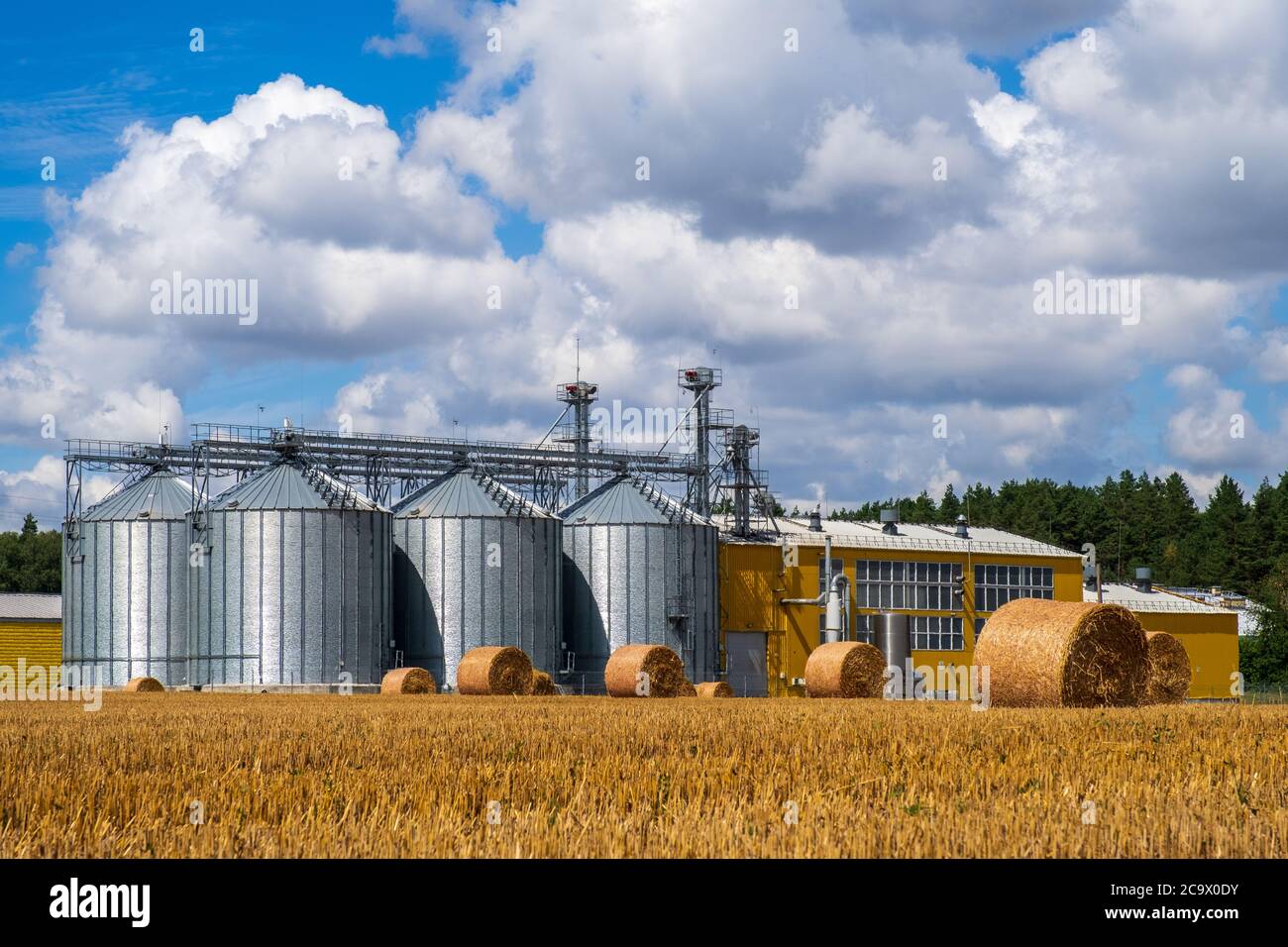 Modern agro manufacturing plant with metal silos for processing drying  cleaning and storage of agricultural products, flour, cereals and grain.  Granar Stock Photo - Alamy