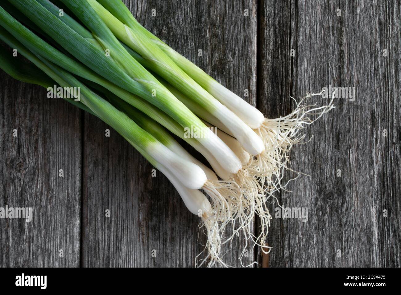 Green Onion on Rustic Background Stock Photo - Alamy